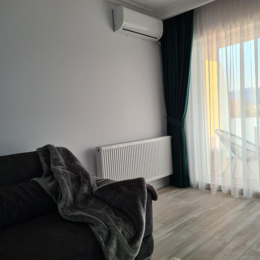 Panoramic Apartment Брашов Екстер'єр фото